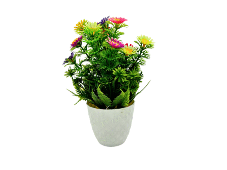 Artificial Plants with Pot Showcase Decoration Plants Flowers | Fake Plant | Artificial Plants for Home Decor Office Gifting Plants Decorative Potted Plants (RV-AP21)