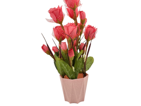 Artificial Plants with Pot Showcase Decoration Plants Flowers | Fake Plant | Artificial Plants for Home Decor Office Gifting Plants Decorative Potted Plants (RV-AP23)